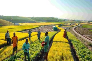 G20 Agricoltura: il Piano Mattei come esempio da seguire secondo Lollobrigida