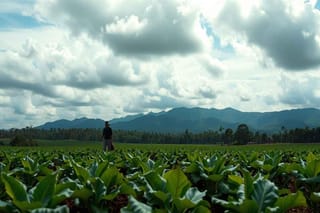 La lotta al narcotraffico a Bogotà: gli aiuti Usa in pericolo